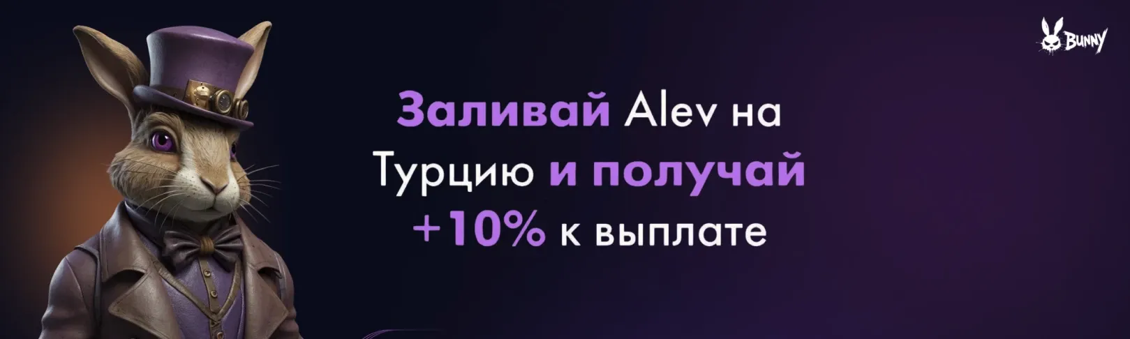 profile banner